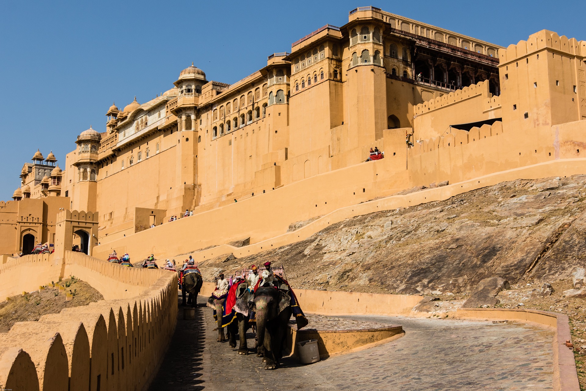 5-Days Tour of Agra, Fatehpur Sikri, Ranthambore, and Delhi